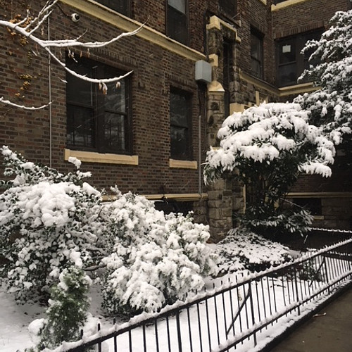 1515 Grand Concourse